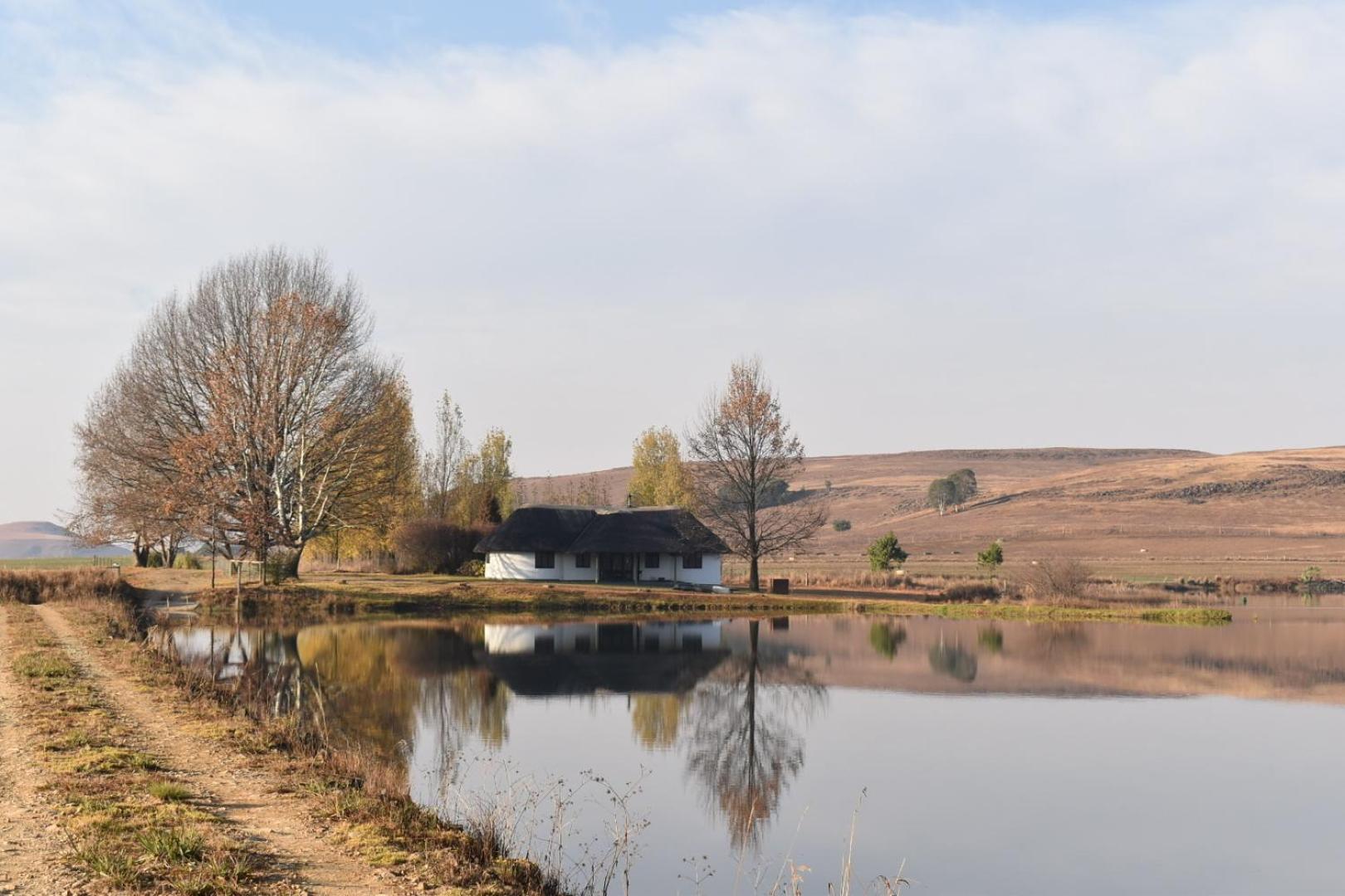 Dieu Donne Cottage Underberg Eksteriør billede